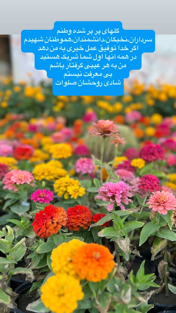  جدید ترین استوری اینستاگرام آزاده آل ایوب