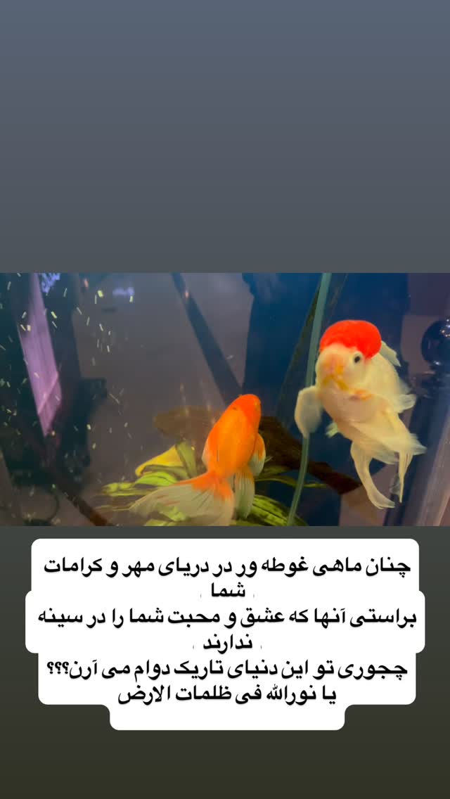  جدید ترین استوری اینستاگرام آزاده آل ایوب