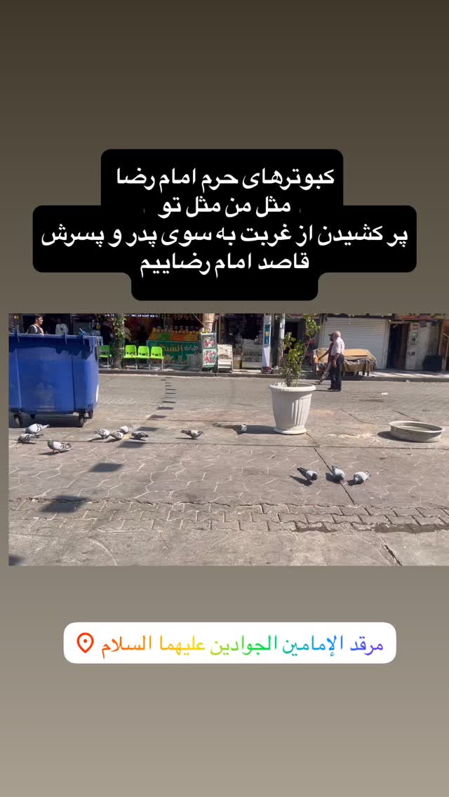  جدید ترین استوری اینستاگرام آزاده آل ایوب