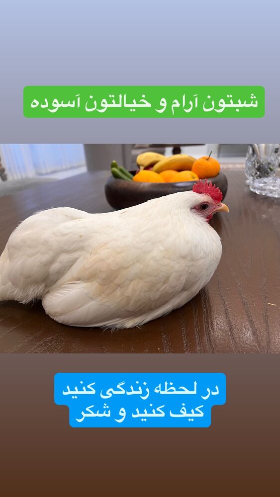  جدید ترین استوری اینستاگرام آزاده آل ایوب