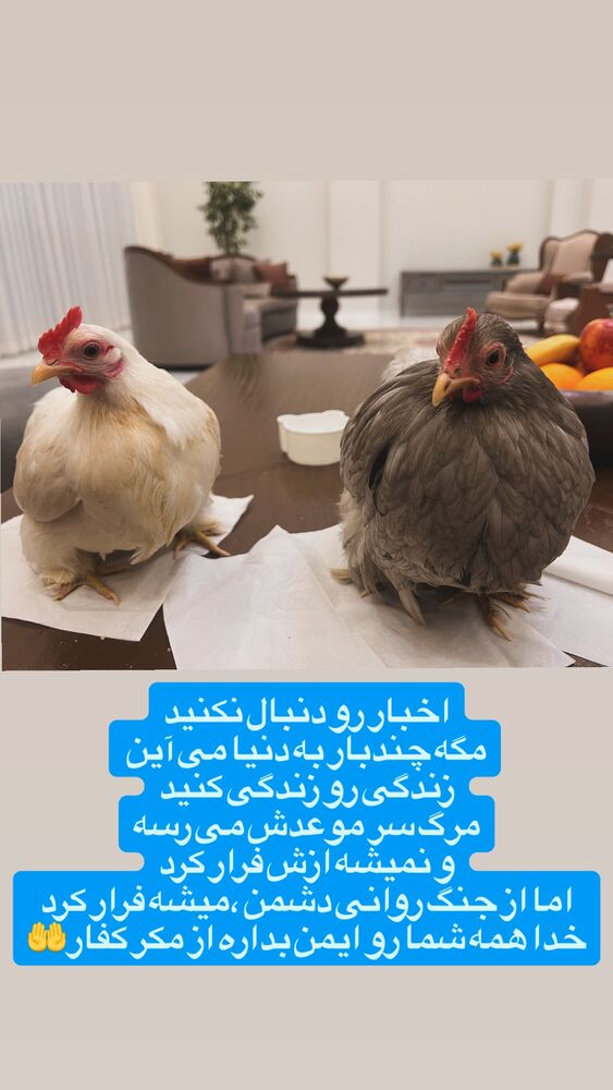 جدید ترین استوری اینستاگرام آزاده آل ایوب