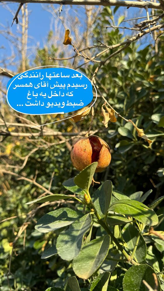  جدید ترین استوری اینستاگرام آزاده شایسته