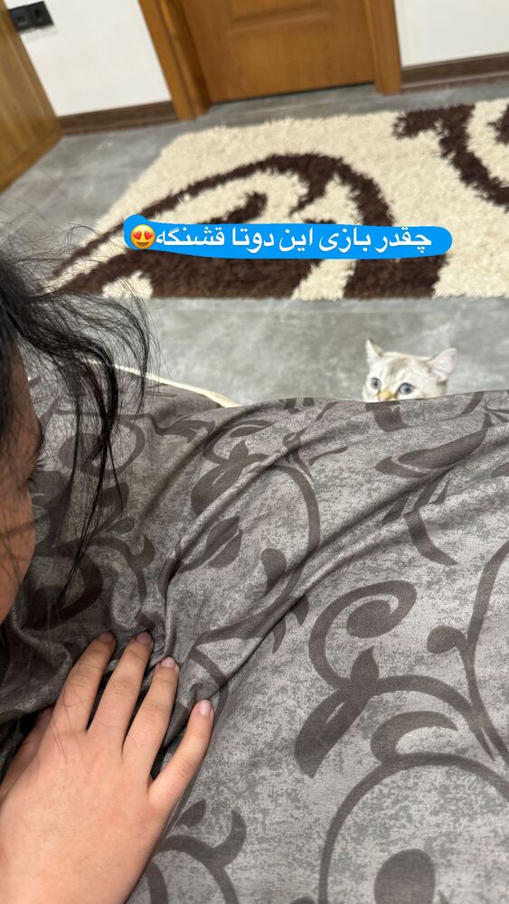  جدید ترین استوری اینستاگرام آزاده شایسته