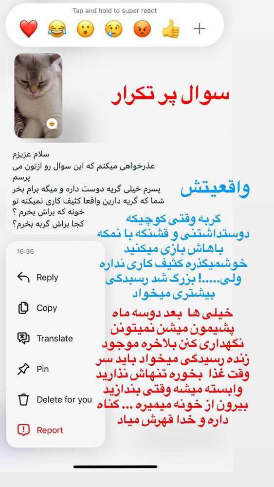  جدید ترین استوری اینستاگرام آزاده شایسته