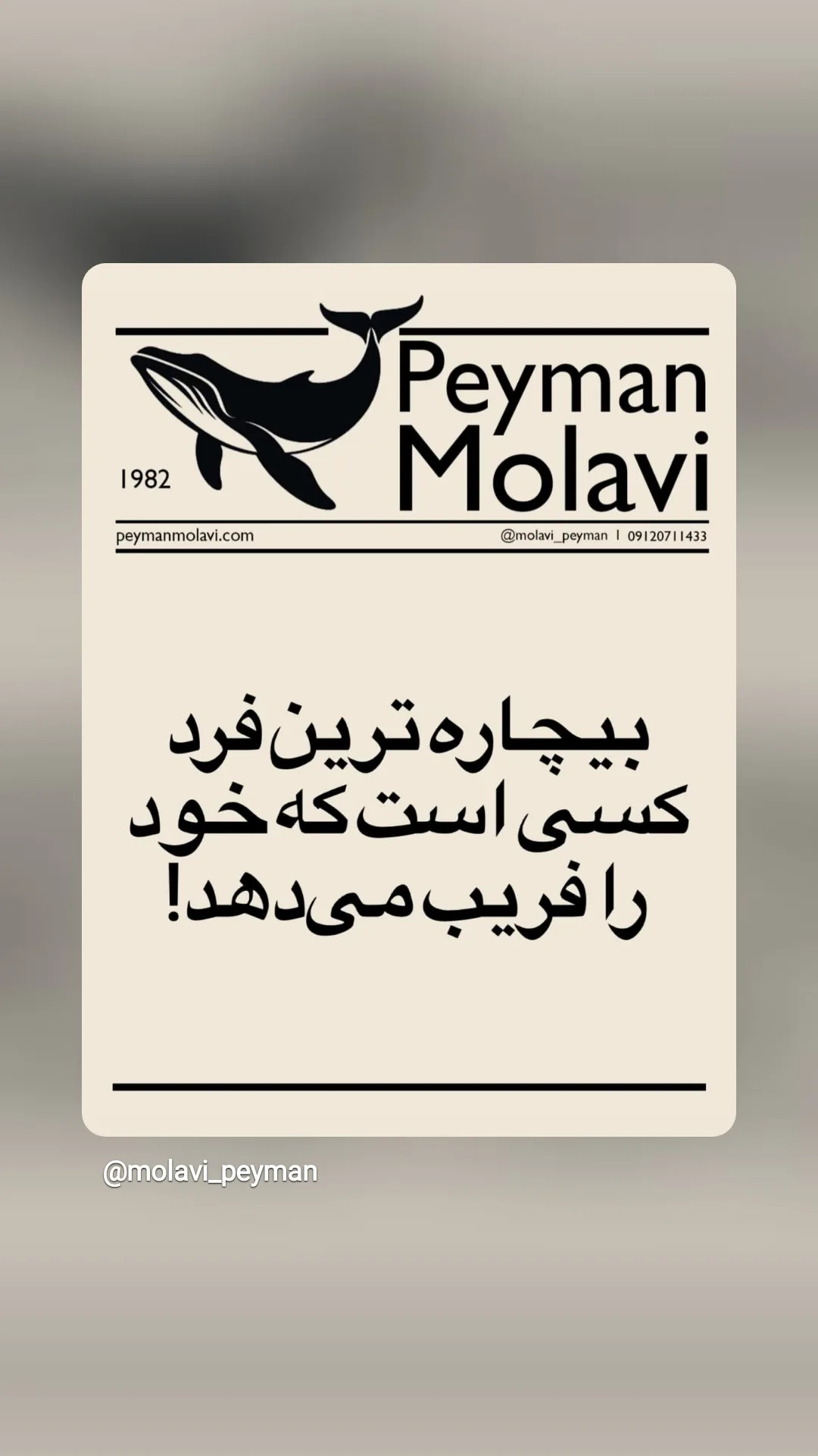 جدید ترین استوری اینستاگرام آزاده مختاری