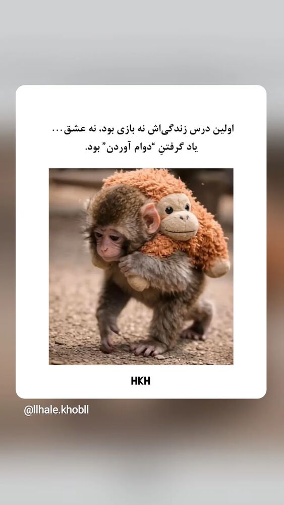  جدید ترین استوری اینستاگرام آزاده مختاری