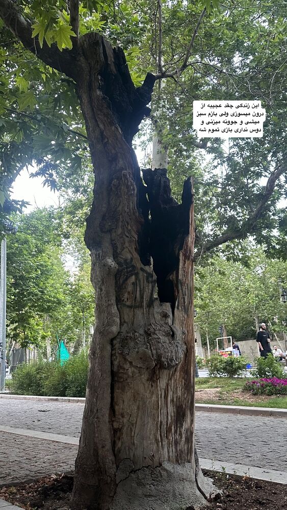  جدید ترین استوری اینستاگرام آزاد