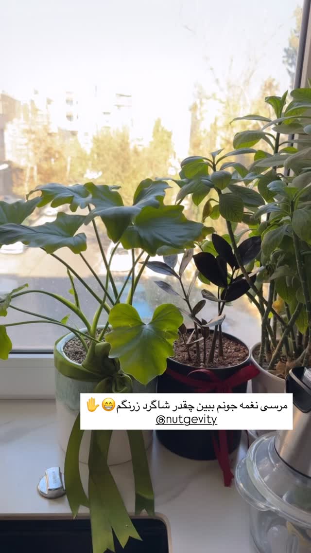  جدید ترین استوری اینستاگرام آذر ماهی صفت
