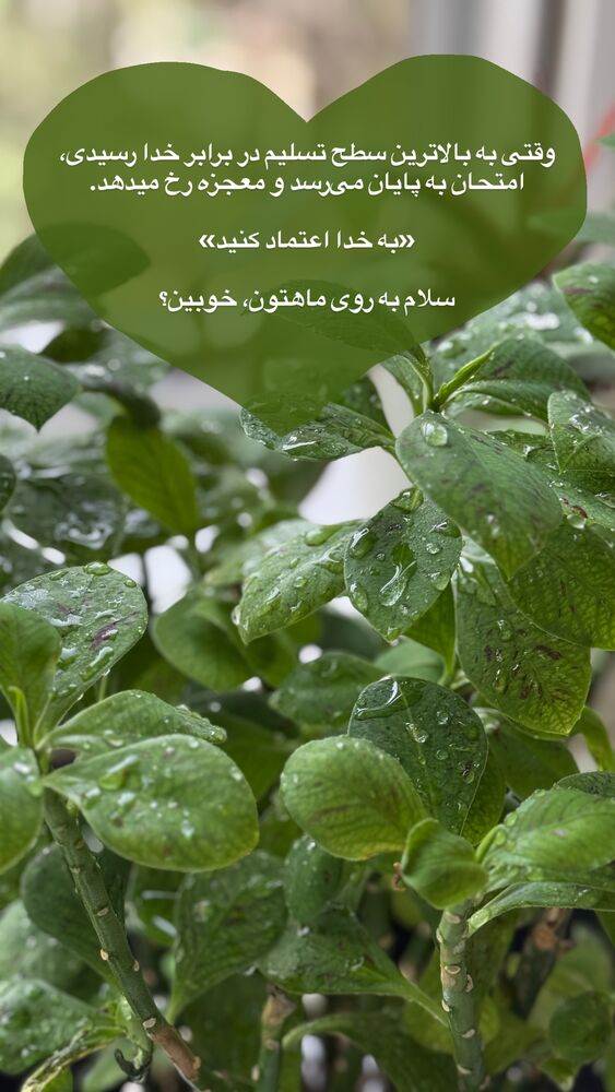  جدید ترین استوری اینستاگرام آذر ماهی صفت