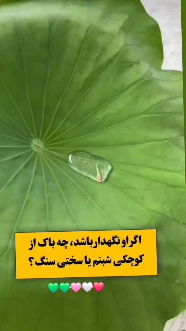  جدید ترین استوری اینستاگرام آزیتا ترکاشوند