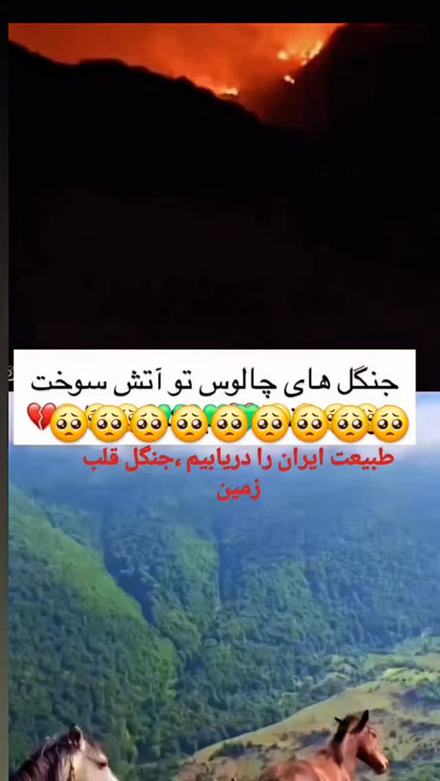  جدید ترین استوری اینستاگرام آزیتا ترکاشوند