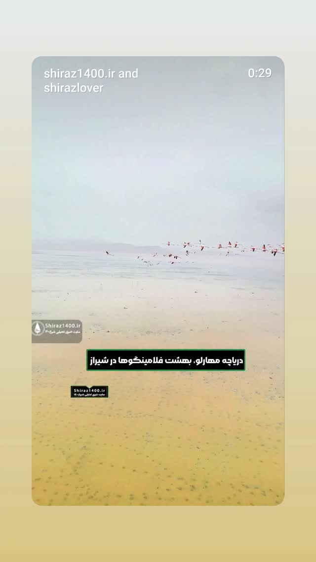  جدید ترین استوری اینستاگرام کامران یارایی