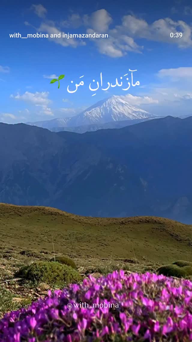  جدید ترین استوری اینستاگرام کامران یارایی