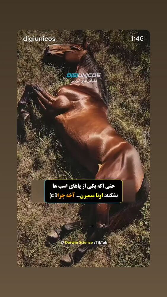  جدید ترین استوری اینستاگرام بابک رکریمی