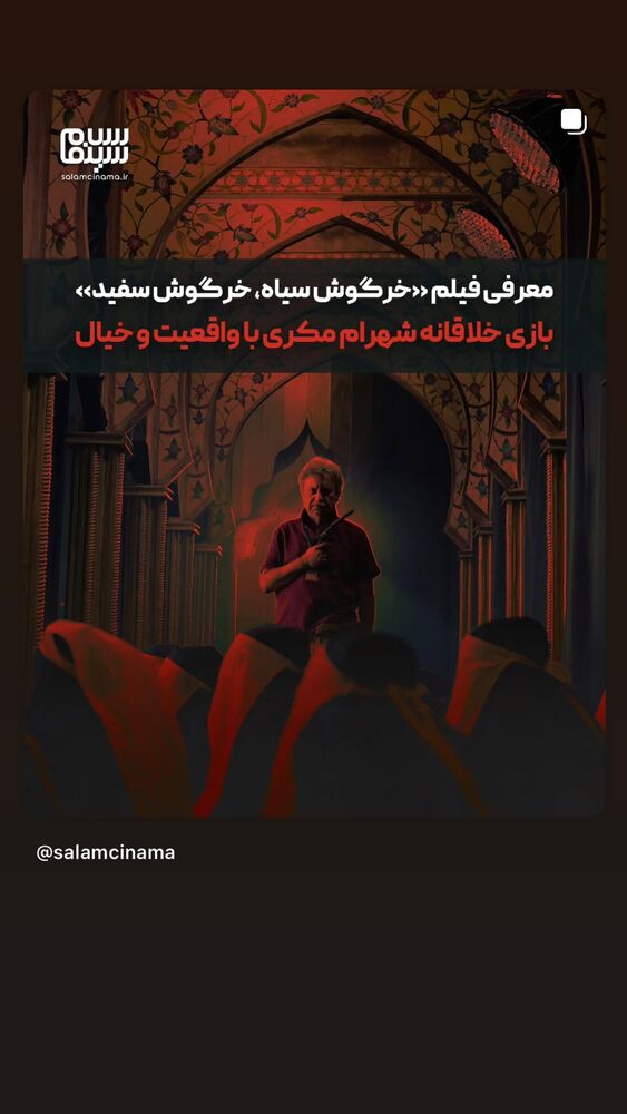  جدید ترین استوری اینستاگرام بابک رکریمی