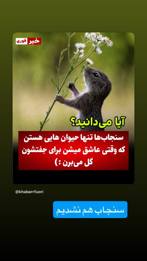  جدید ترین استوری اینستاگرام بابک رکریمی