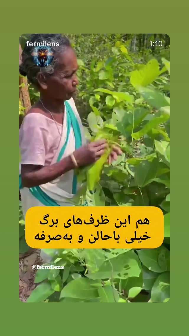  جدید ترین استوری اینستاگرام بابک رکریمی