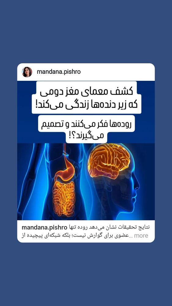  جدید ترین استوری اینستاگرام بابک انصاری