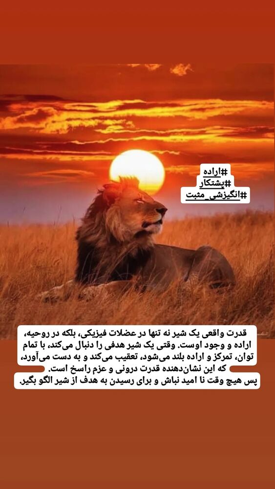  جدید ترین استوری اینستاگرام بابک انصاری