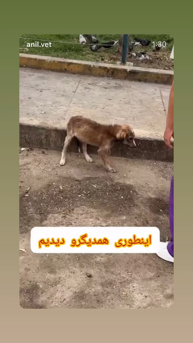  جدید ترین استوری اینستاگرام بابک بختیاری
