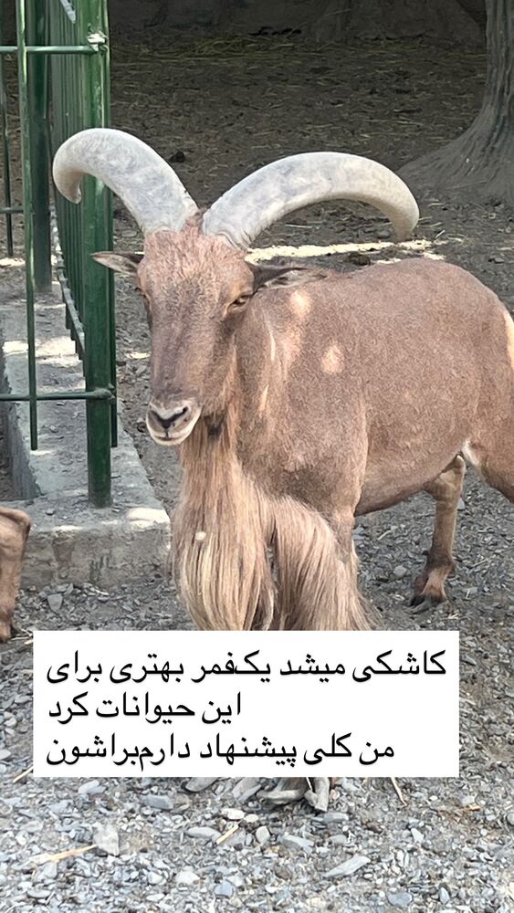  جدید ترین استوری اینستاگرام بابک بختیاری