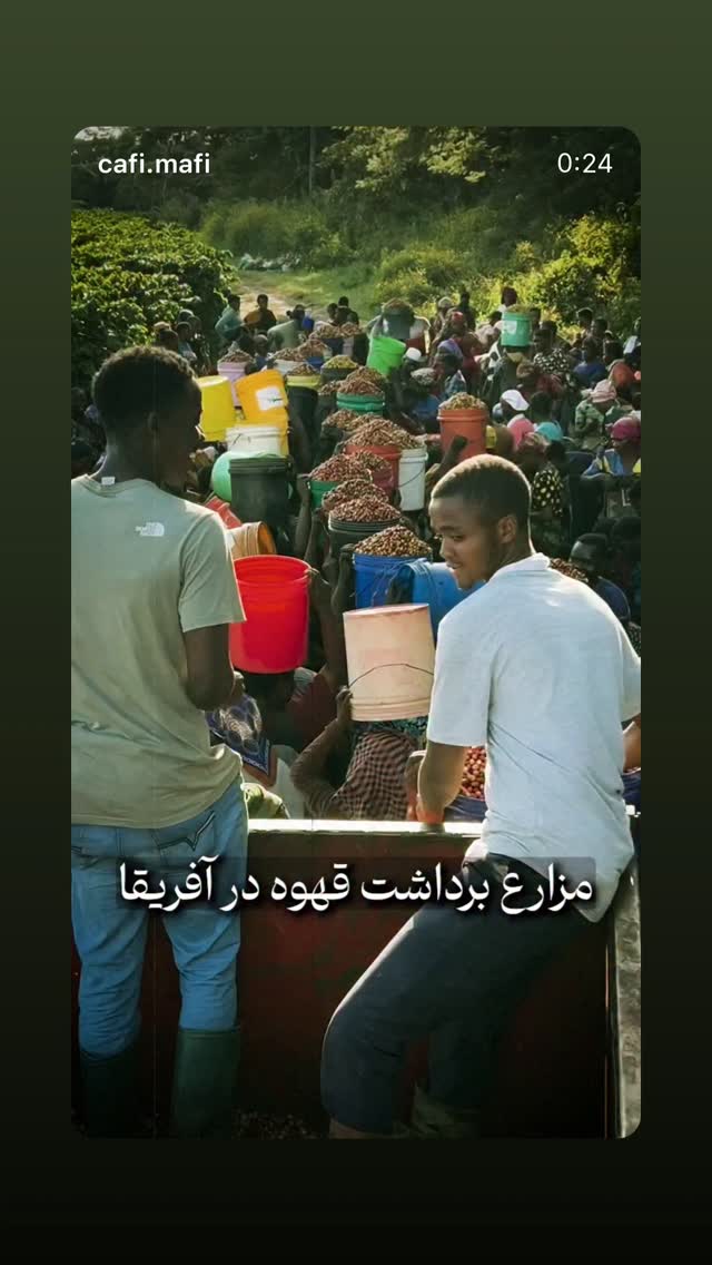  جدید ترین استوری اینستاگرام بابک بختیاری