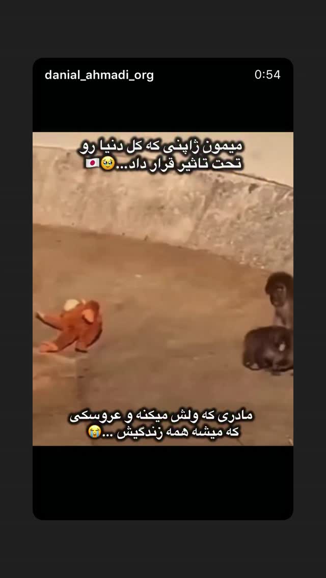  جدید ترین استوری اینستاگرام بابک بختیاری