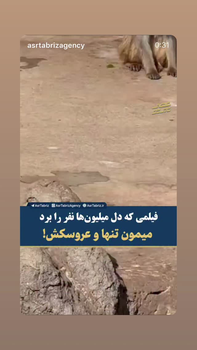  جدید ترین استوری اینستاگرام بابک بختیاری