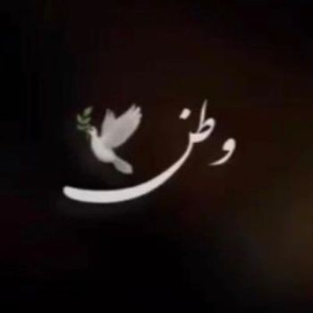  عکس پروفایل اینستاگرام بهاره افشاری / baharehafshariofficial