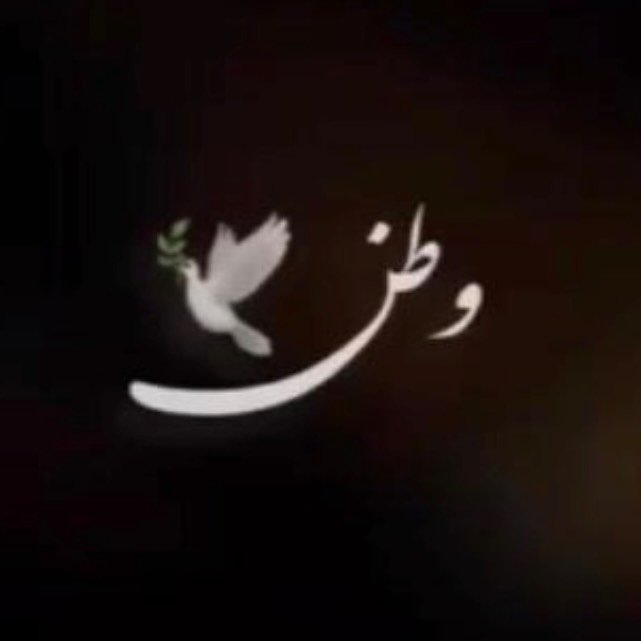  عکس پروفایل اینستاگرام بهاره افشاری / baharehafshariofficial