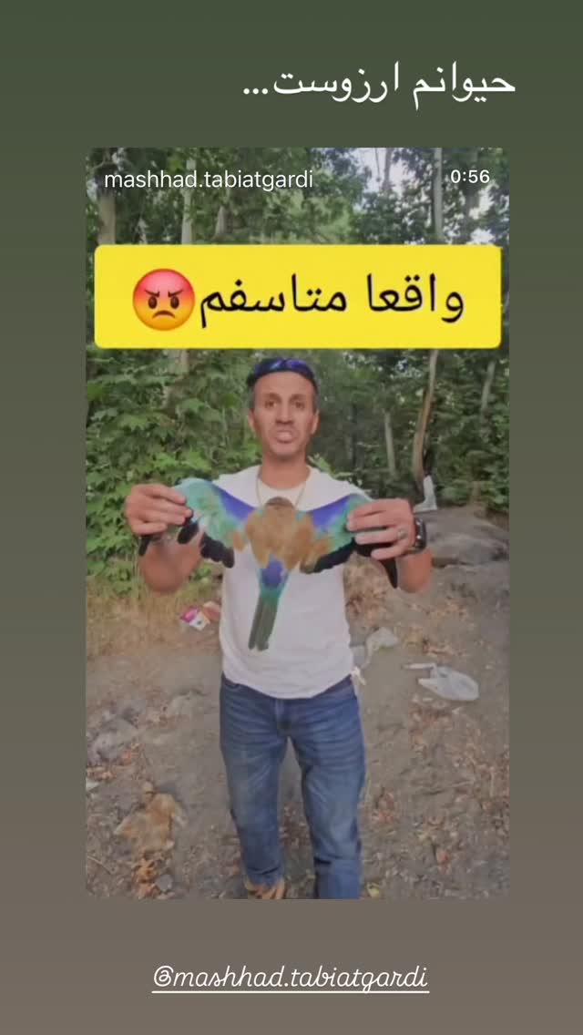  جدید ترین استوری اینستاگرام بهاره کیان افشار