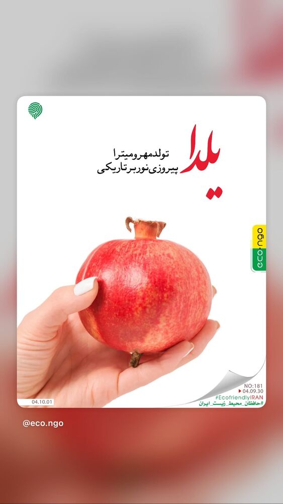  جدید ترین استوری اینستاگرام بهاره کیان افشار