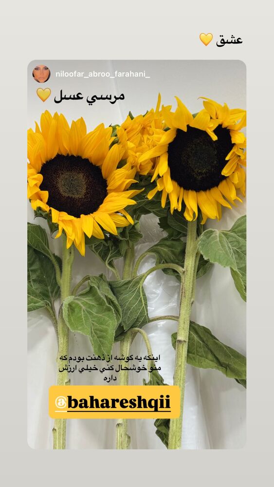  جدید ترین استوری اینستاگرام بهار اسحاقی