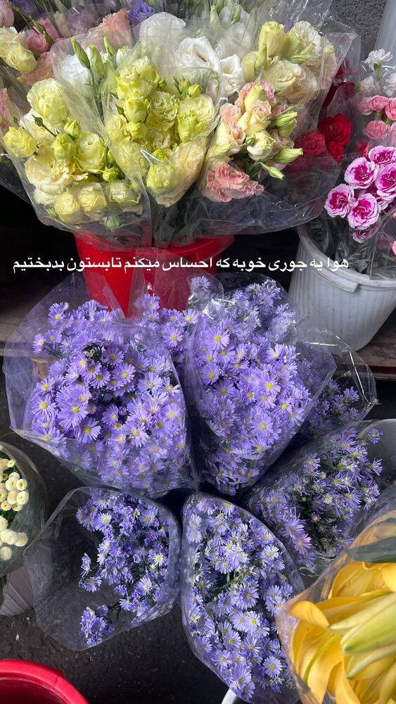  جدید ترین استوری اینستاگرام بهار اسحاقی