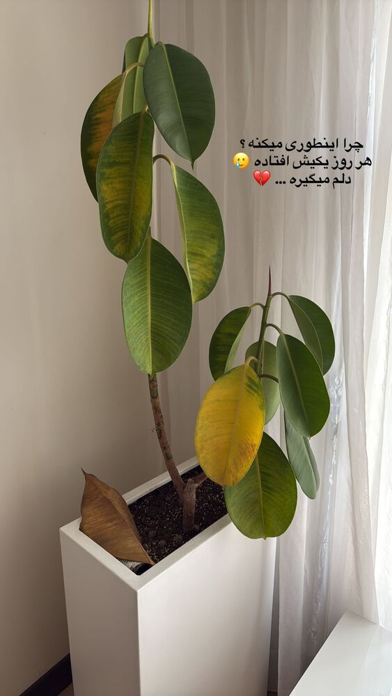  جدید ترین استوری اینستاگرام بهار اسحاقی