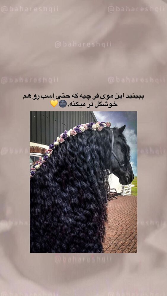  جدید ترین استوری اینستاگرام بهار اسحاقی