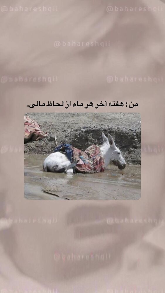 جدید ترین استوری اینستاگرام بهار اسحاقی