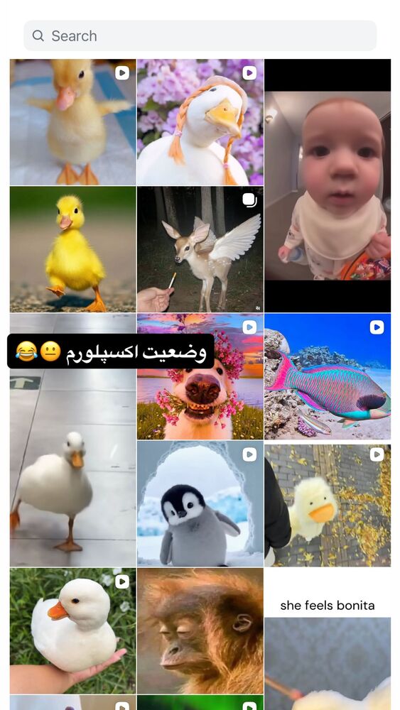  جدید ترین استوری اینستاگرام بهار اسحاقی