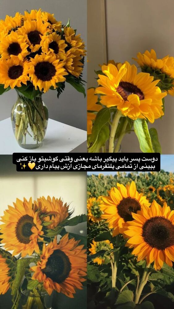  جدید ترین استوری اینستاگرام بهار اسحاقی