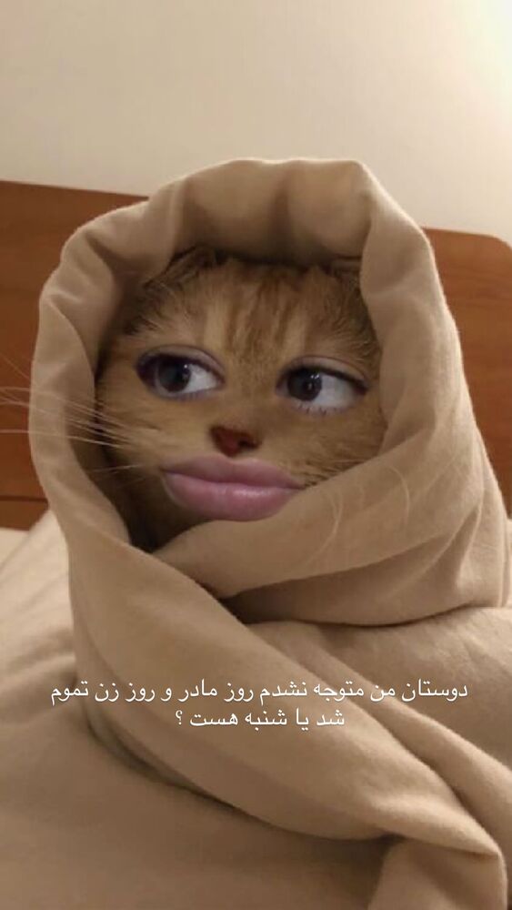  جدید ترین استوری اینستاگرام بهار اسحاقی