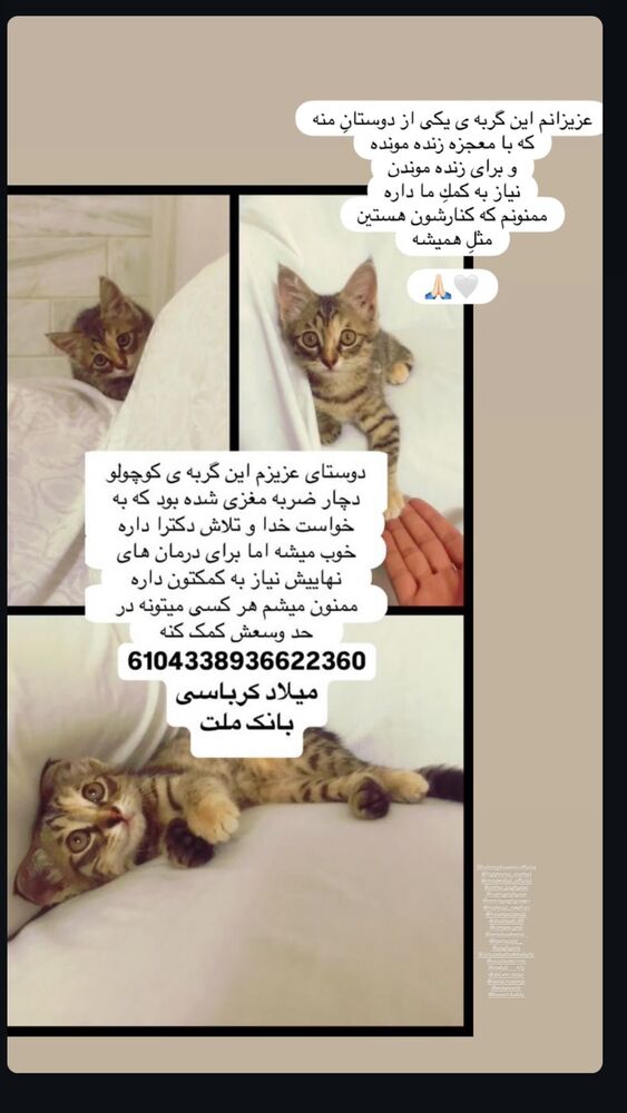  جدید ترین استوری اینستاگرام بهار قاسمی
