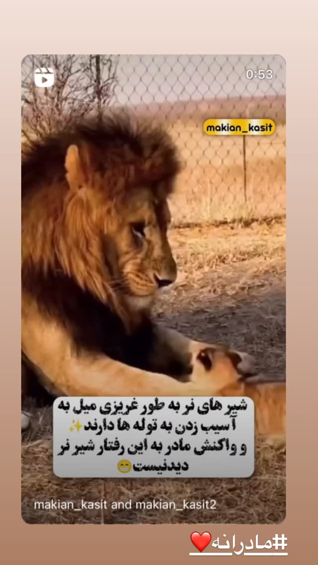  جدید ترین استوری اینستاگرام بهار قاسمی