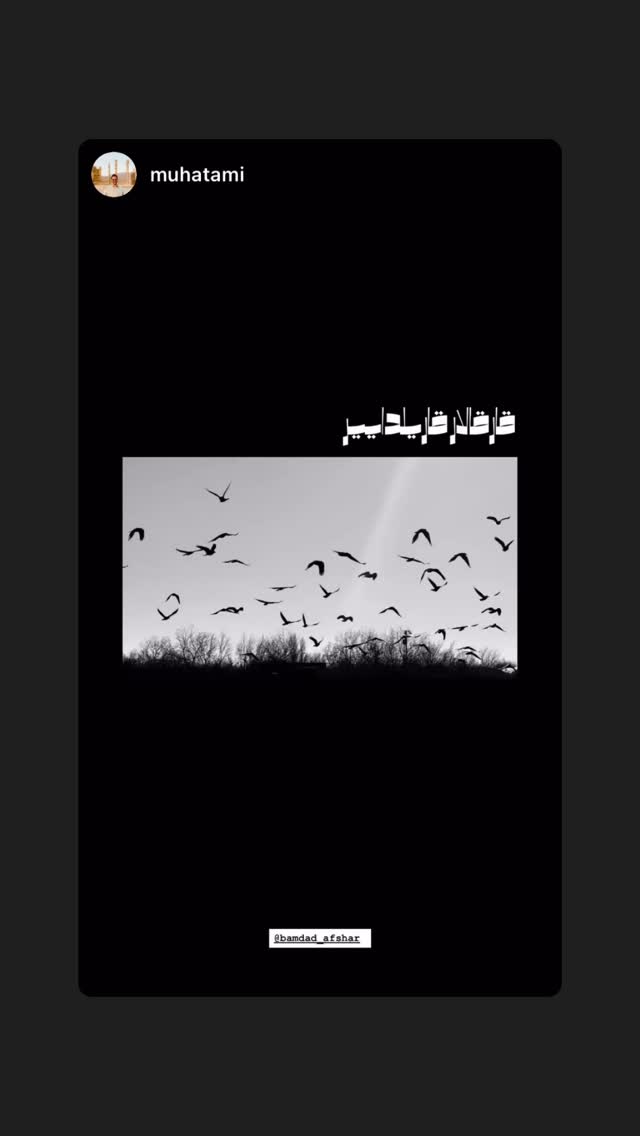  جدید ترین استوری اینستاگرام بامداد افشار