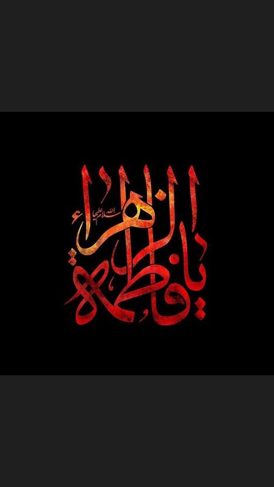  جدید ترین استوری اینستاگرام سیدمجید بنی فاطمه