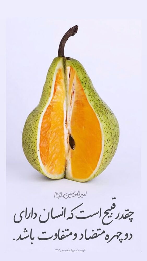 جدید ترین استوری اینستاگرام سیدمجید بنی فاطمه