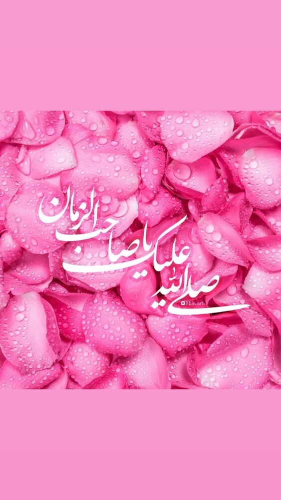  جدید ترین استوری اینستاگرام سیدمجید بنی فاطمه