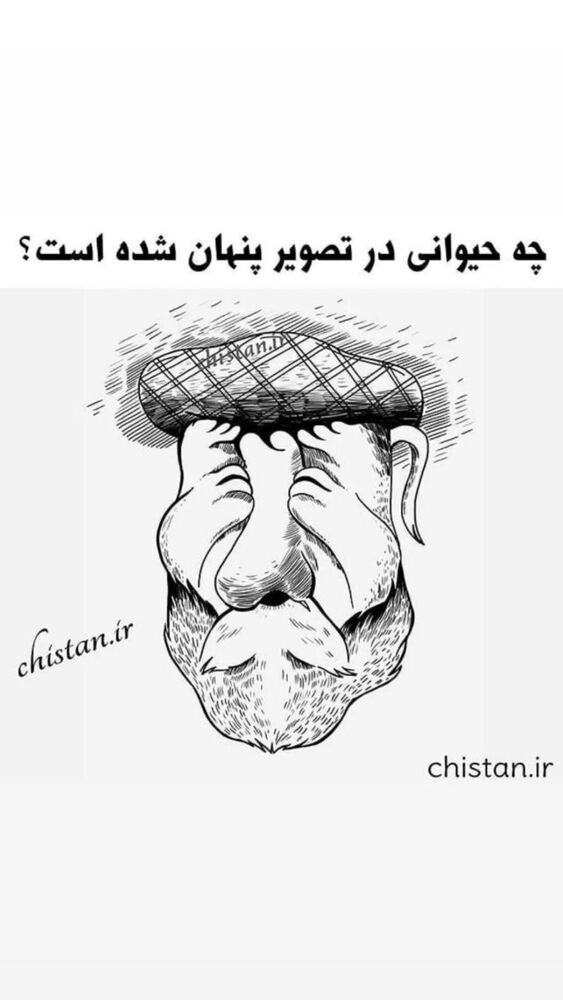  جدید ترین استوری اینستاگرام بانوی خونه