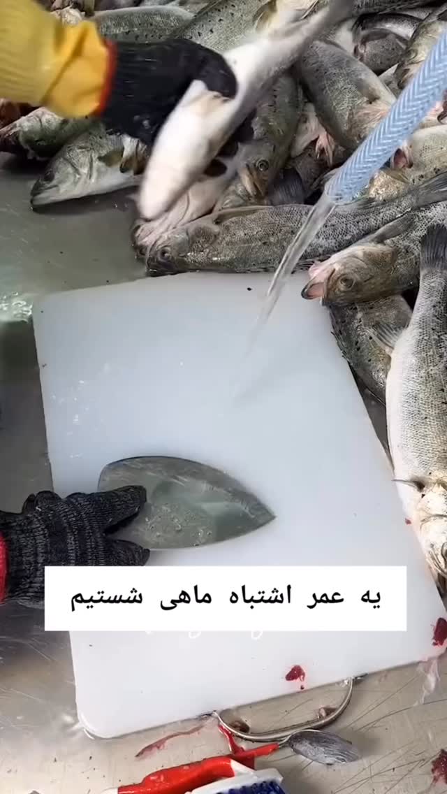  جدید ترین استوری اینستاگرام بانوی خونه