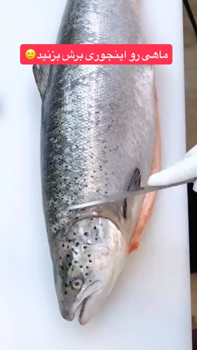  جدید ترین استوری اینستاگرام بانوی خونه