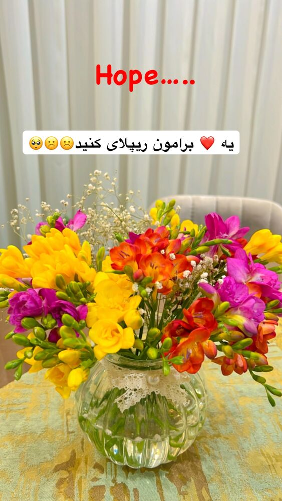  جدید ترین استوری اینستاگرام بانوی خونه